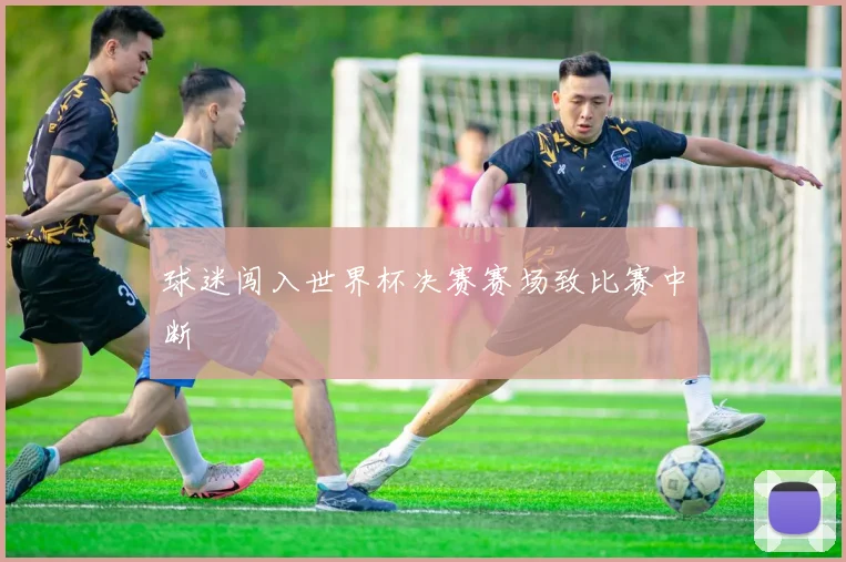 球迷闯入世界杯决赛赛场致比赛中断