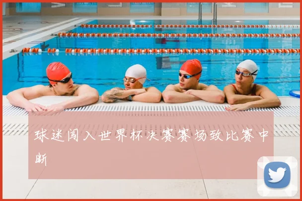 球迷闯入世界杯决赛赛场致比赛中断