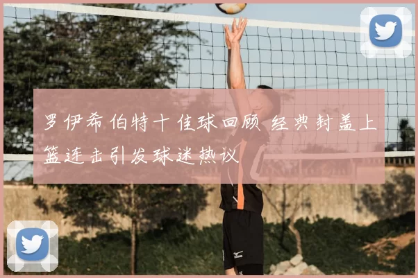 罗伊希伯特十佳球回顾 经典封盖上篮连击引发球迷热议