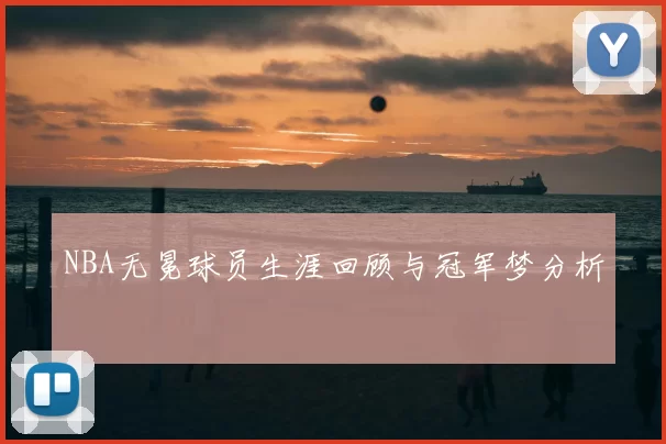 NBA无冕球员生涯回顾与冠军梦分析